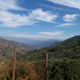 Illustration for article titled Mt Wilson and Little Tujunga Canyon Carving
